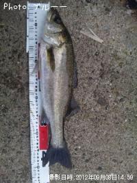 �����Х�