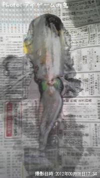 ¥¢¥ª¥ê¥¤¥«