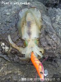 �����ꥤ��