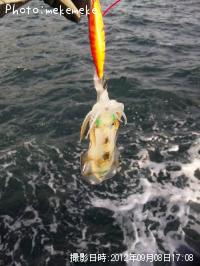 �����ꥤ��