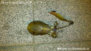 �����ꥤ��
