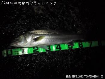 �����Х�