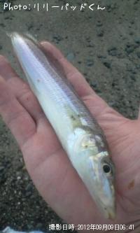 �ѡ���ԥ󥯤ε��ؿ�