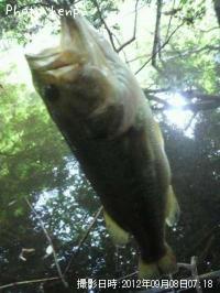 �֥�å��Х�