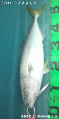 ���ʥ������������С�������������