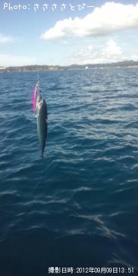 ���ʥ������������С�������������