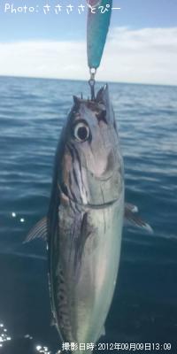 ���ʥ������������С�������������