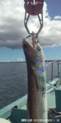 ���ʥ������������С�������������