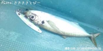 ���ʥ������������С�������������