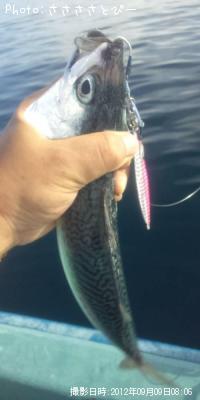 ���ʥ������������С�������������