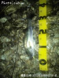 �����Х�