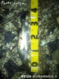 �����Х�