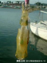 �����ꥤ��