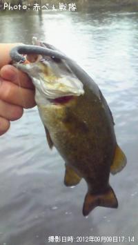 �֥�å��Х�