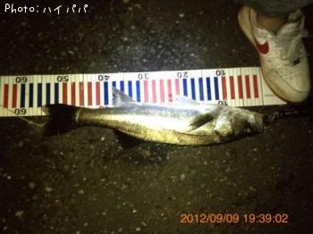 �����Х�