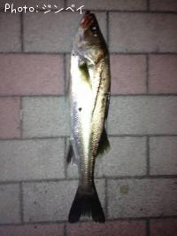 �����Х�