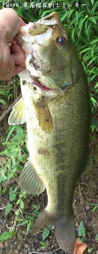 �֥�å��Х�