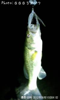 ¥Ö¥é¥Ã¥¯¥Ð¥¹