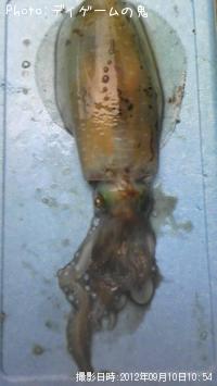 �����ꥤ��