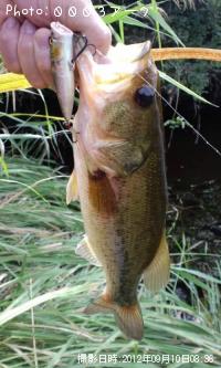 ¥Ö¥é¥Ã¥¯¥Ð¥¹