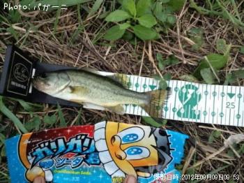 �֥�å��Х�