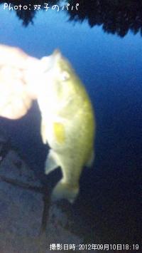 ¥Ö¥é¥Ã¥¯¥Ð¥¹