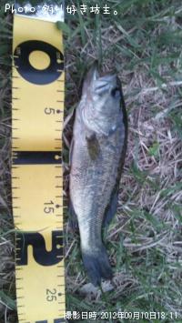 ¥Ö¥é¥Ã¥¯¥Ð¥¹