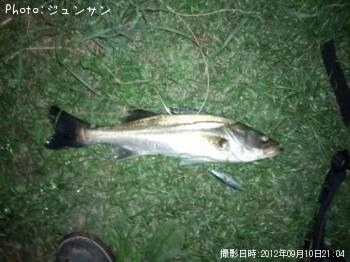 �����Х�