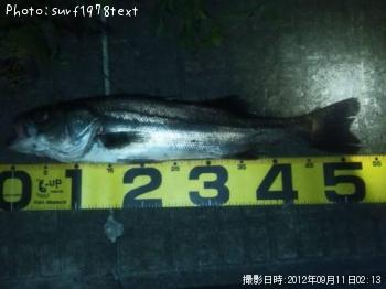 �����Х�