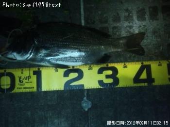 �����Х�