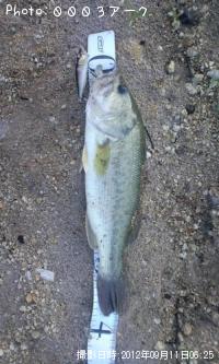 �֥�å��Х�