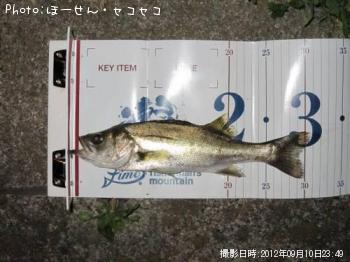 �����Х�