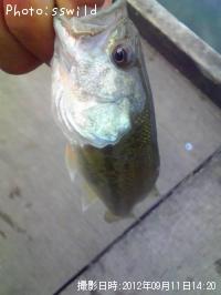 ¥Ö¥é¥Ã¥¯¥Ð¥¹