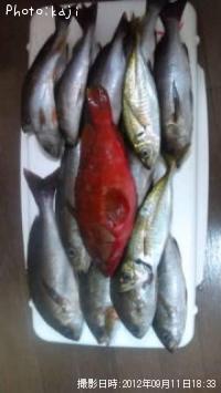 ������������¾