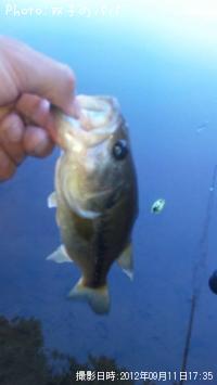 �֥�å��Х�