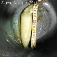 �����ꥤ��