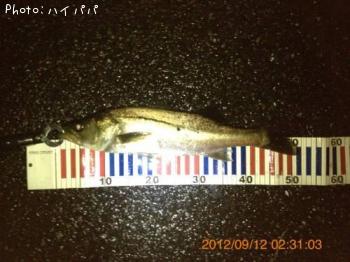 �����Х�