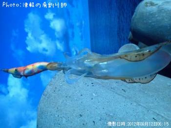 �����ꥤ��