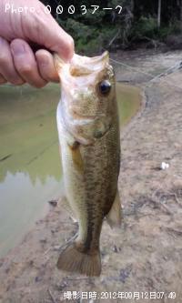 ¥Ö¥é¥Ã¥¯¥Ð¥¹