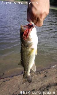 �֥�å��Х�