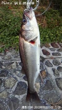 �����Х�