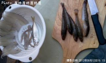 �ߤ�ʥץ������ϥ������ʾС�