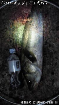 �����Х�