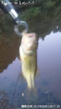 ¥Ö¥é¥Ã¥¯¥Ð¥¹