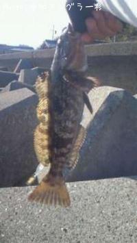 �����ʥ�