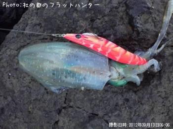 ¥¢¥ª¥ê¥¤¥«