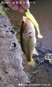 �֥�å��Х�