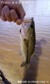 ¥Ö¥é¥Ã¥¯¥Ð¥¹