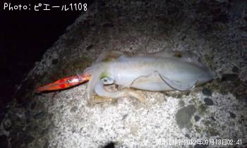 ¥¢¥ª¥ê¥¤¥«