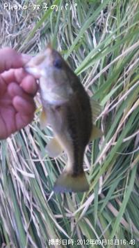 �֥�å��Х�